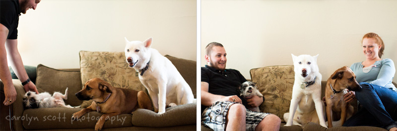 dog photographer dog photographer