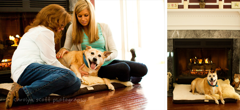 dog portraits north carolina dog portraits north carolina
