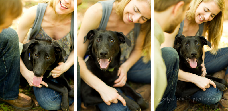 Raleigh pet photographer