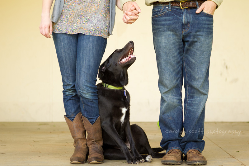 Charlotte pet photographer