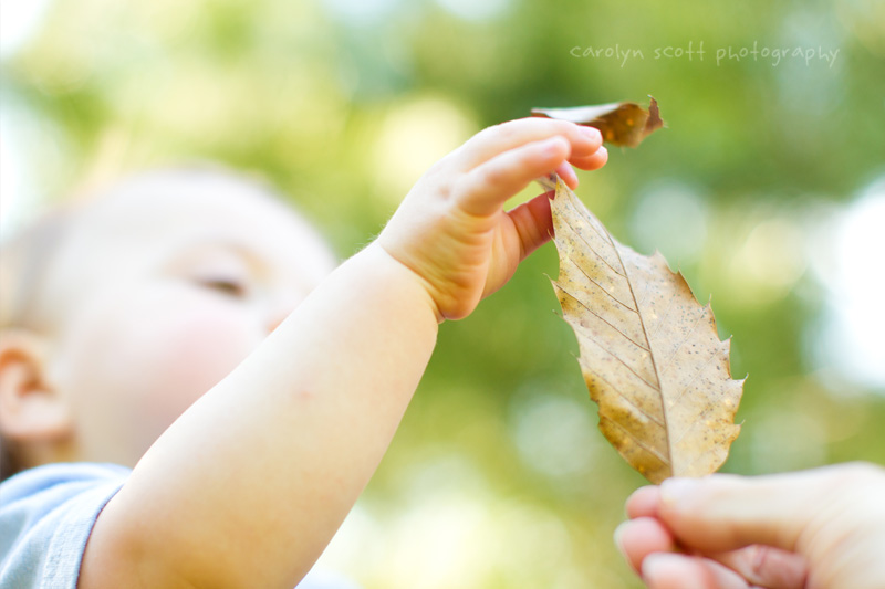 baby photographer raleigh nc