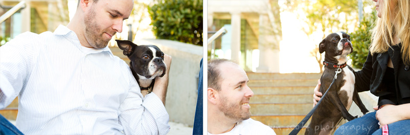 Engagement session with dogs