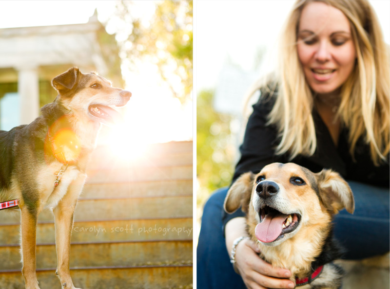 engagement session with dogs