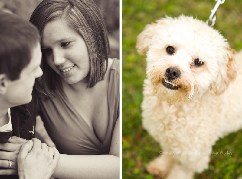 engagement sessions with dogs