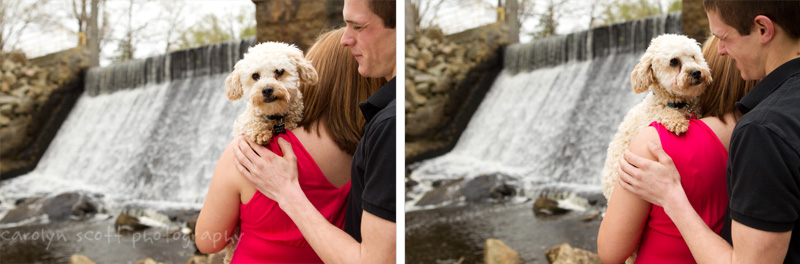 Raleigh pet photographer