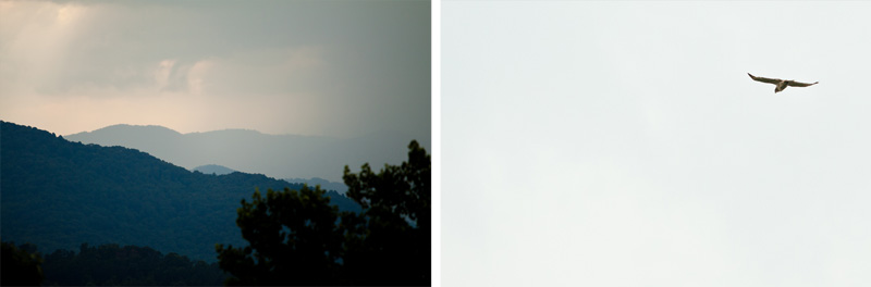 Asheville Wedding Photographer (63)