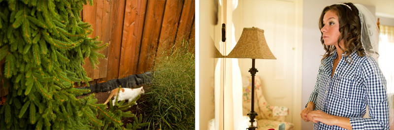 Pittsburgh Wedding Photographer (2)