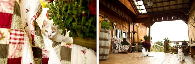 Pittsburgh Wedding Photographer (9)
