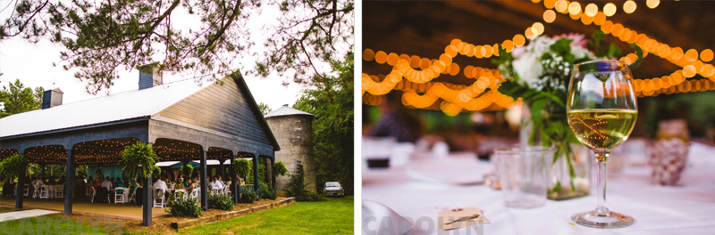 Wedding Photographer in North Carolina Plantation Wedding (8)