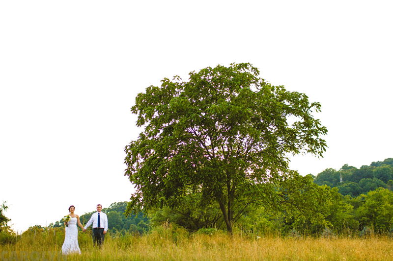 Wedding at Stonebridge Farm Nursery Pittsburgh PA photography (25)