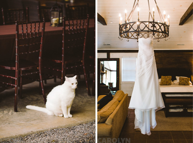 Wedding in the Smoky Mountains (47)