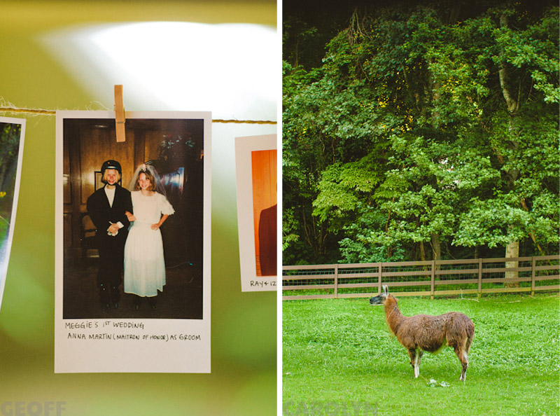 Wedding in the Smoky Mountains (12)
