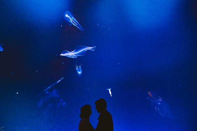 Science Themed Wedding in Raleigh NC (28)
