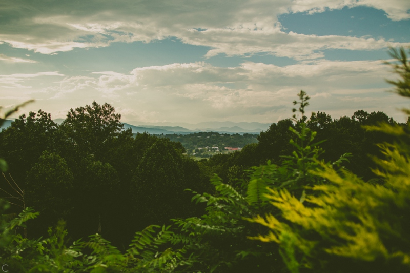 destination wedding in asheville nc (32)