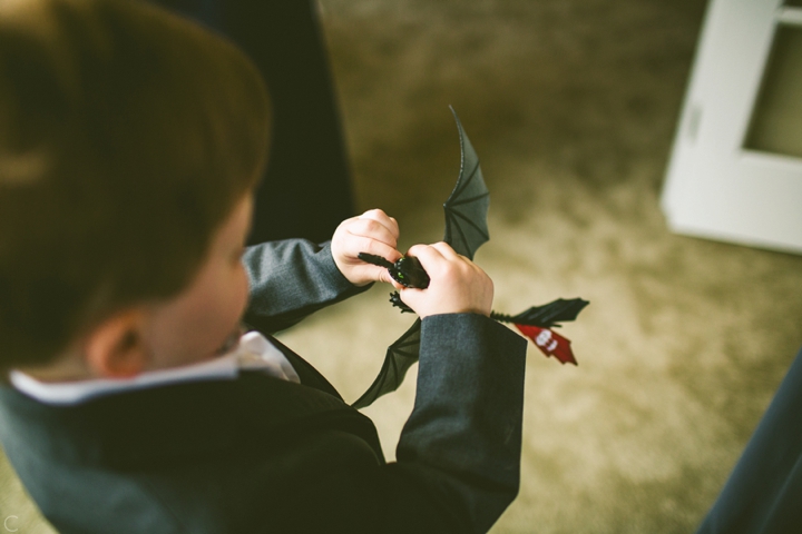 Ring bearer and How to Train your Dragon toy
