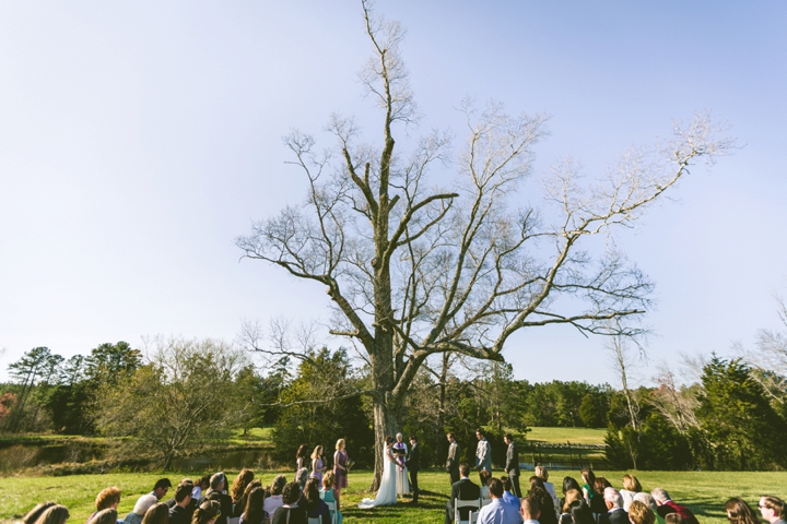 Outdoor wedding under old oak tree