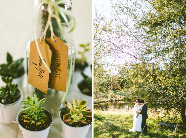 Succulent favors at wedding