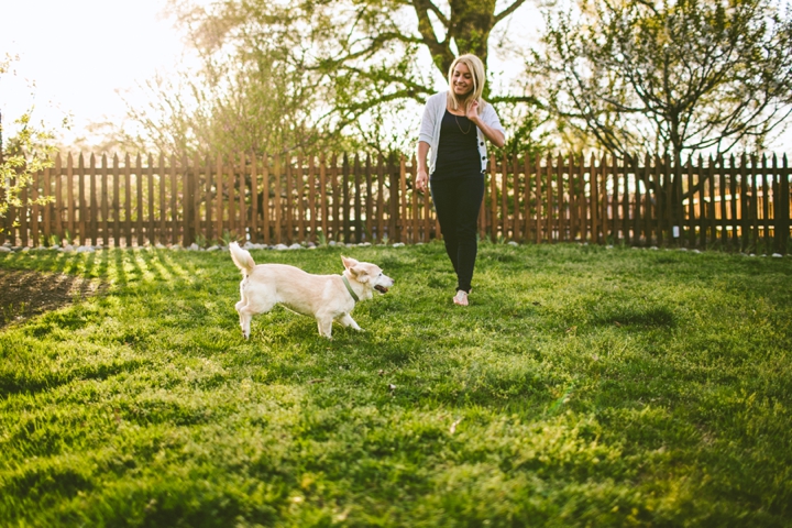 Corgi running in grass