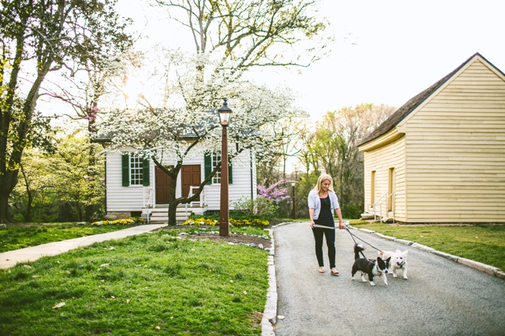 Girl walking Corgi dogs