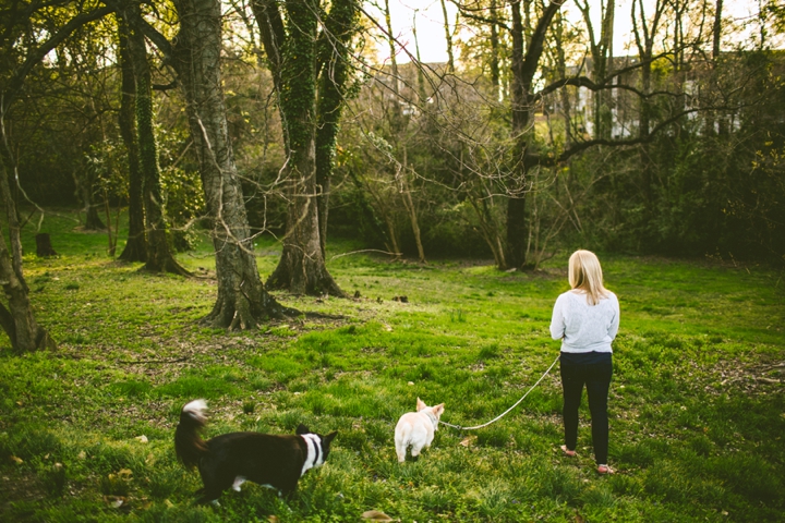 Woman walking dogs