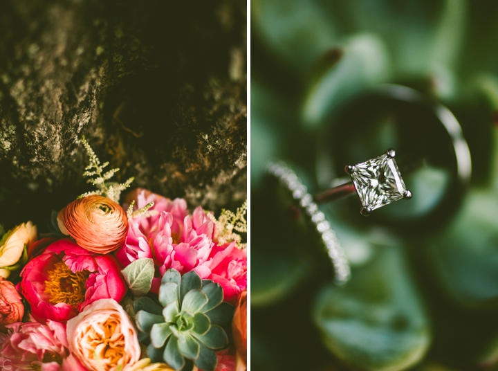 Ring shot in succulent flower
