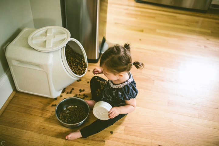 little kid and dog food