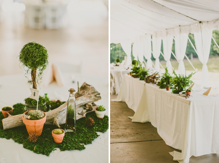 Moss and succulent wedding decor