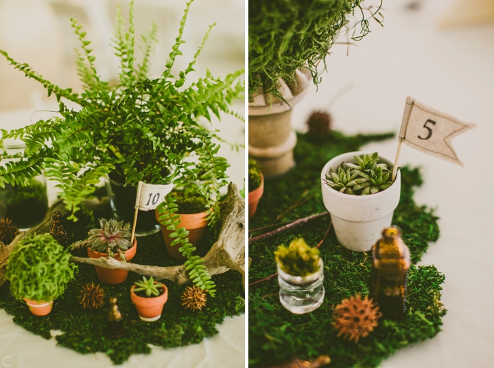 Moss and fern wedding decor