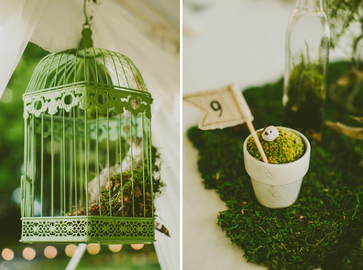 Birdcage and moss wedding details