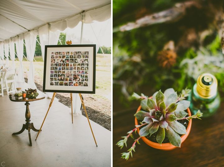 Succulents in wedding decor