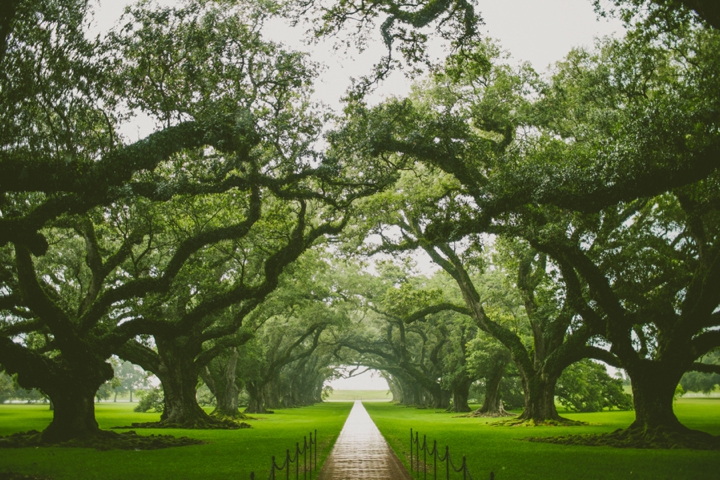 oak alley plantation