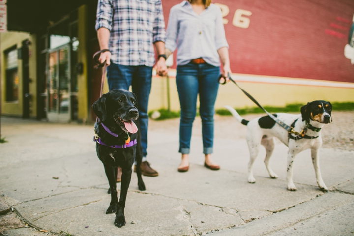 Dogs with owners