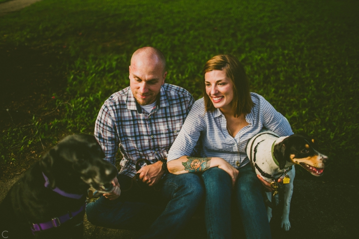 Couple sitting with their dogs