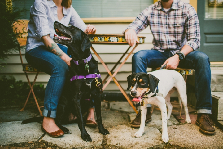 Pups on sidewalk