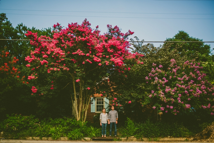 Crepe myrtle trees in Raleigh