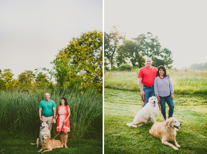 Dog family portrait