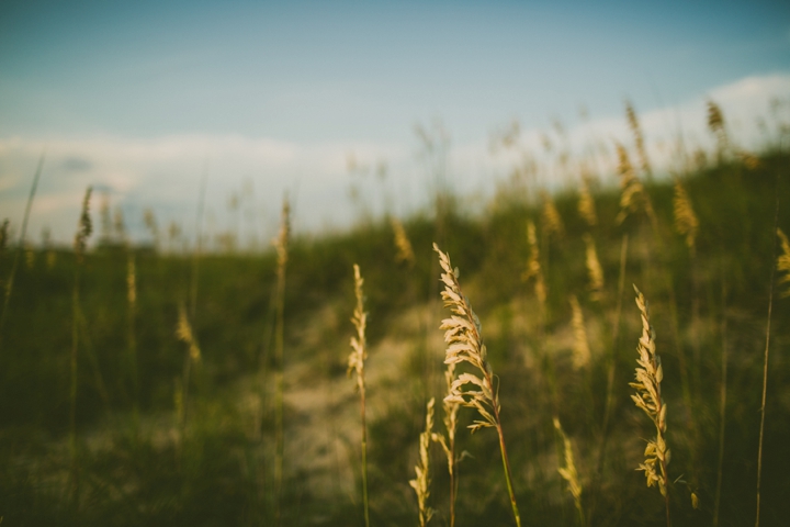 Outer Banks North Carolina