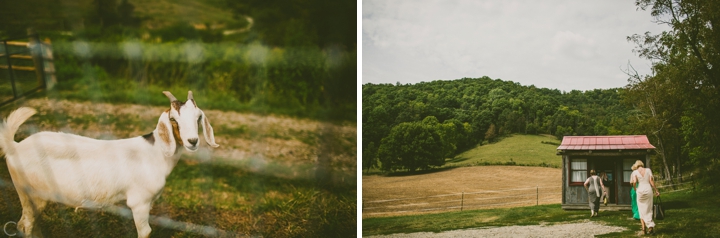 Wedding at Claxton Farms in Asheville NC