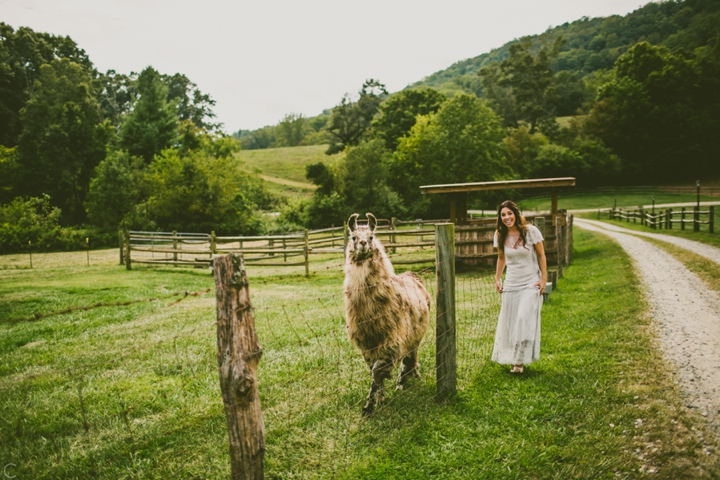 Wedding at Claxton Farms in Asheville NC