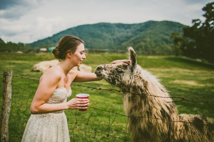 Wedding at Claxton Farms in Asheville NC