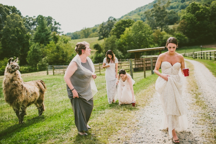 Wedding at Claxton Farms in Asheville NC