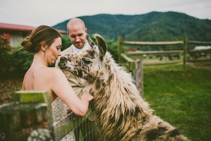 Wedding at Claxton Farms in Asheville NC