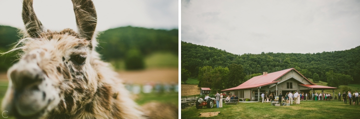 Wedding at Claxton Farms in Asheville NC