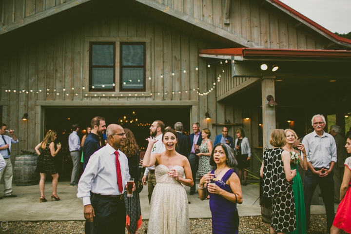 Wedding at Claxton Farms in Asheville NC