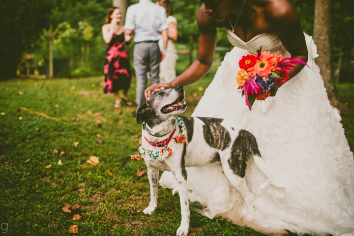 Bride and dog