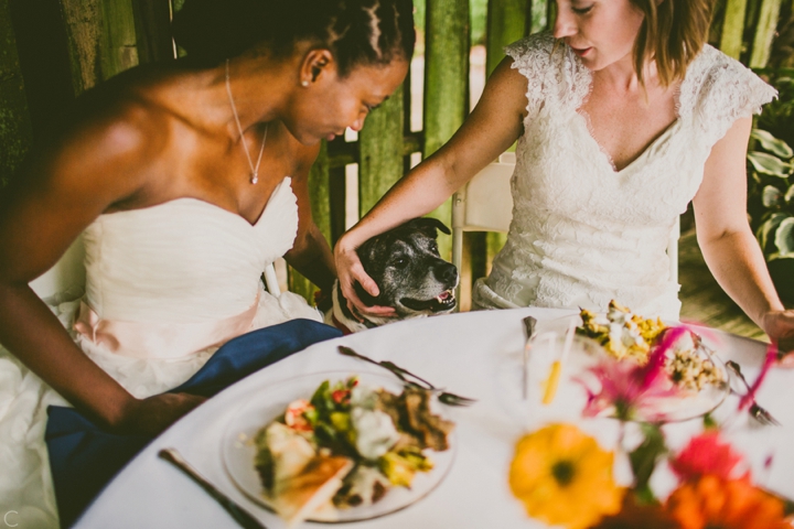 Dog at wedding table