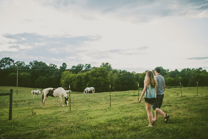 People walking to horses