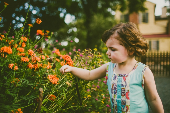 Toddler picking flowers