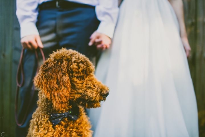 Wedding at Shared Visions Retreat Center Durham