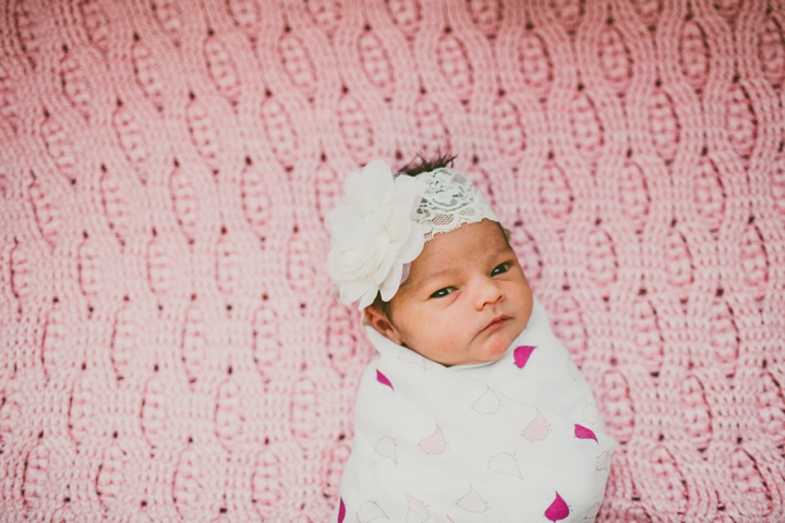 Newborn portraits Greenville